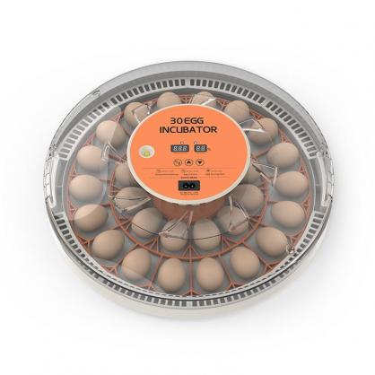 30-Egg Automatic Incubator with Egg Turning, Temp Control, Humidity Display & LED Candler for Chicken, Quail, Parrot Eggs