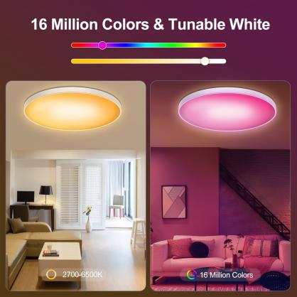 48W Smart LED Ceiling Lights 14.7 Inch, 3500LM Ceiling Lights with Remote, RGB+CCT 2700-6500K, Ultra-Thin Round Flush Mount Ceiling Light for Bedroom & Living Room