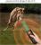Dog Bark Deterrent Device,Anti-Bark Devices for Dogs,No More Barks Dog Training Tool-Most Effective Dog Behavior Aid- Barking Eliminator Indoor/Outdoor, Dog Silencer/Behavior Corrector Dog Bark Deterrent Device,Anti-Bark Devices for Dogs,No More Barks Dog Training Tool-Most Effective Dog Behavior Aid- Barking Eliminator Indoor/Outdoor, Dog Silencer/Behavior Corrector
