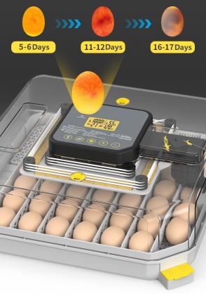 Automatic Egg Incubator for Hatching, 48-Egg Capacity with Temperature & Humidity Control, Auto Egg Turner, Built-in Egg Candler, Multi-Purpose Incubator for Chicken, Duck, Goose, Quail Eggs