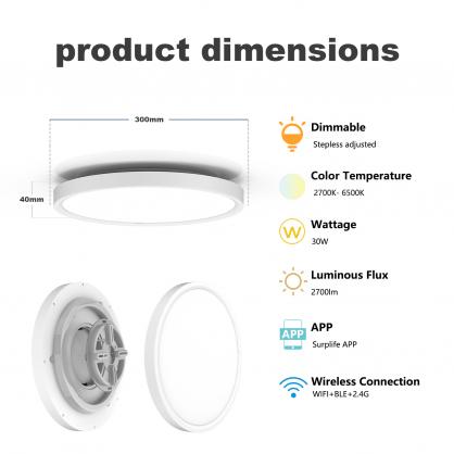 30W LED Smart Ceiling Light Fixture with Remote Control, WIFI Bluetooth RGBIC+CCT Function, 2700K-6500K, Diameter 30cm Modern Ultra-Thin Round Ceiling Light for Bedroom Kitchen Living Room Hallway
