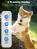 Dog Bark Collar, Rechargeable Anti Barking Training Collar with Beep Vibration Shock for Large/Medium/Small Dogs,Bark Shock Collar with 7 Adjustable Sensitivity,IP67 Waterproof,Effective & Humane