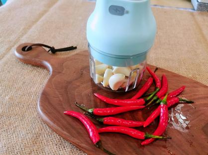 Electric Garlic Chopper,Electronic Food Chooper,Automatic Mini Masher Crusher,USB Rechargeable Food Chopper,Portable Food Processor for Vegetables/Meats/Spices,250ml