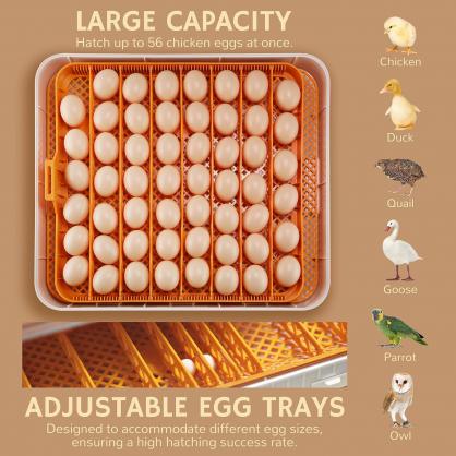 56-Egg Automatic Incubator with Auto Egg Turner, Temperature & Humidity Control, LED Egg Candler, Hatch Day Timer, for Chicken, Duck, Goose, Quail & Parrot Eggs