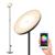 24W Smart RGB LED Floor Lamp Works with Alexa Google Home, WiFi Remote Modern Tall Standing Light, 2000LM Super Bright Color Changing & Dimmable Sky Torchiere for Living Room, Bedroom (Black)
