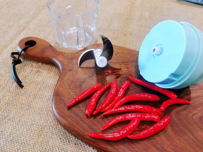 Electric Garlic Chopper,Electronic Food Chooper,Automatic Mini Masher Crusher,USB Rechargeable Food Chopper,Portable Food Processor for Vegetables/Meats/Spices,250ml