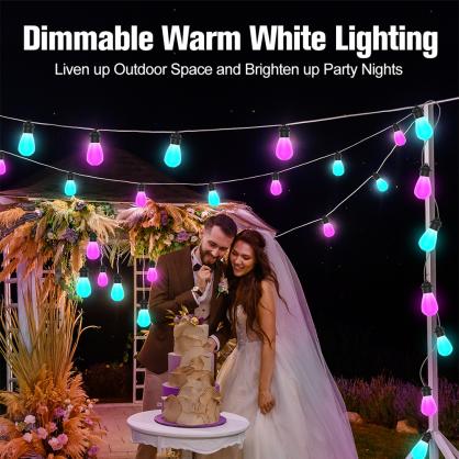 LED Smart Outdoor String Lights (IP65 Waterproof,Outdoor Use,49.21FT/15 Meters) , RGBIC Color Changing Lights with 15 Dimmable LED Bulbs, Warm White Lights with Multiple Scenes for Patio, Backyard, App Control