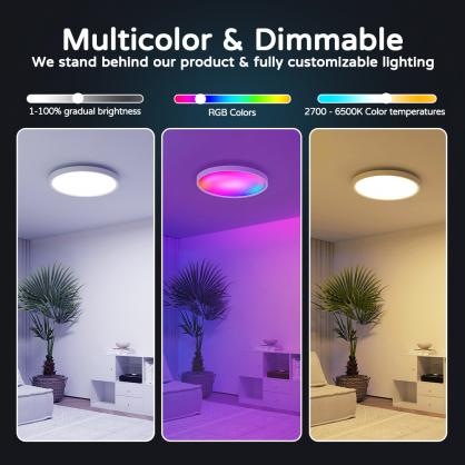 30W 12in RGB WiFi+Ble+2.4G Smart Flush Mount Ceiling Light Fixture, 2200lm, 2700K-6500K Dimmable, RGB Color Changing, Compatible with Alexa Google, for Bedroom Living Room Hallway Nursery (RGB)