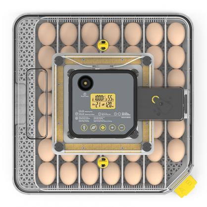 Automatic Egg Incubator for Hatching, 48-Egg Capacity with Temperature & Humidity Control, Auto Egg Turner, Built-in Egg Candler, Multi-Purpose Incubator for Chicken, Duck, Goose, Quail Eggs
