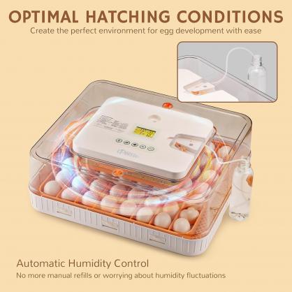 56-Egg Automatic Incubator with Auto Egg Turner, Temperature & Humidity Control, LED Egg Candler, Hatch Day Timer, for Chicken, Duck, Goose, Quail & Parrot Eggs