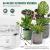 Automatic Plant Water Timer, Watering System Indoor, Drip Irrigation System with Timer for N Potted Plants, Suitable for House Garden Balcony Office, Battery Powered, with No-Water or Low-Battery Alarms Automatic Plant Water Timer, Watering System Indoor, Drip Irrigation System with Timer for N Potted Plants, Suitable for House Garden Balcony Office, Battery Powered, with No-Water or Low-Battery Alarms