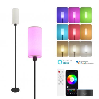 RGBW Multifuntional & Dimmable LED Smart Floor Lamp with Remote Control,Compatible with Alexa, Google Home, 57
