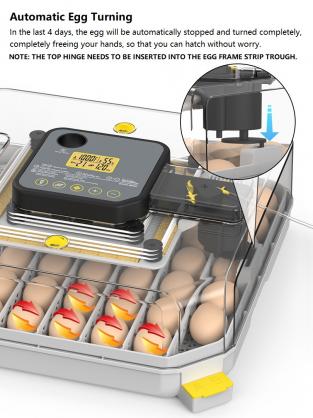 Automatic Egg Incubator for Hatching, 48-Egg Capacity with Temperature & Humidity Control, Auto Egg Turner, Built-in Egg Candler, Multi-Purpose Incubator for Chicken, Duck, Goose, Quail Eggs