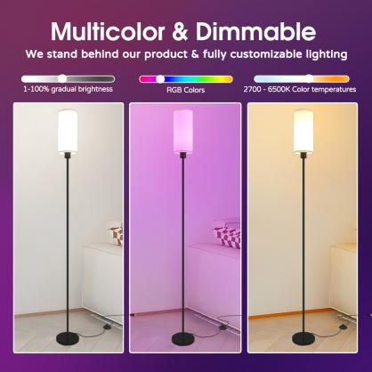 RGBW Multifuntional & Dimmable LED Smart Floor Lamp with Remote Control,Compatible with Alexa, Google Home, 57