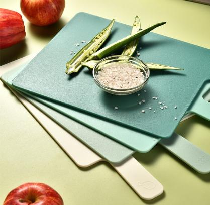 Index Cutting Boards for Kitchen, Plastic Cutting Board Set of 4 with Storage Stand, Colorful Chopping Board Set with Easy Grip Handles & Index Food Icons,Cutting Mat for Meat Veggies Fruits (Colorful)