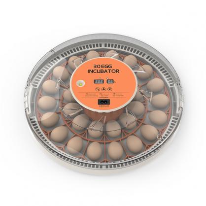 30-Egg Automatic Incubator with Egg Turning, Temp Control, Humidity Display & LED Candler for Chicken, Quail, Parrot Eggs