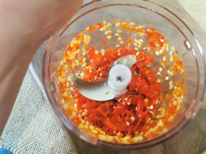 Electric Garlic Chopper,Electronic Food Chooper,Automatic Mini Masher Crusher,USB Rechargeable Food Chopper,Portable Food Processor for Vegetables/Meats/Spices,250ml