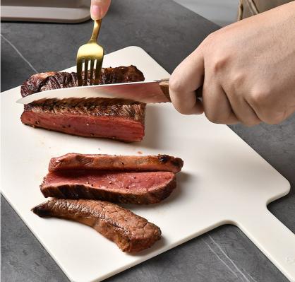Index Cutting Boards for Kitchen, Plastic Cutting Board Set of 4 with Storage Stand, Colorful Chopping Board Set with Easy Grip Handles & Index Food Icons,Cutting Mat for Meat Veggies Fruits (Colorful)